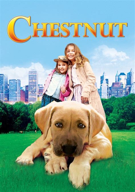 Chestnut: Hero of Central Park (2004) Stream and Watch Online.